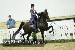24BUCK_05051 thumbnail
