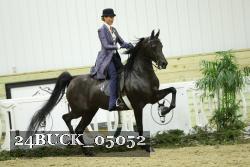 24BUCK_05052 thumbnail