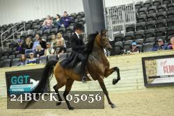 24BUCK_05056 thumbnail