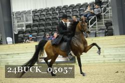 24BUCK_05057 thumbnail