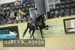 24BUCK_05059 thumbnail
