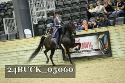 24BUCK_05060 thumbnail