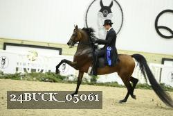 24BUCK_05061 thumbnail