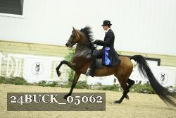 24BUCK_05062 thumbnail