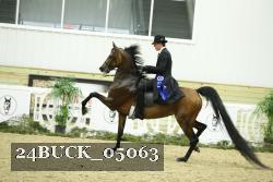 24BUCK_05063 thumbnail