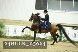 24BUCK_05064 thumbnail