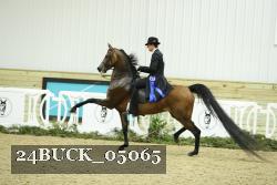 24BUCK_05065 thumbnail