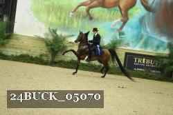 24BUCK_05070 thumbnail