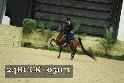 24BUCK_05071 thumbnail