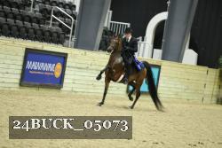 24BUCK_05073 thumbnail