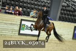 24BUCK_05074 thumbnail