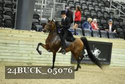24BUCK_05076 thumbnail