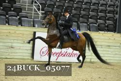 24BUCK_05077 thumbnail