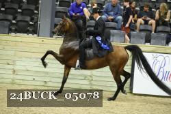 24BUCK_05078 thumbnail