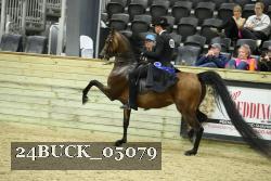 24BUCK_05079 thumbnail
