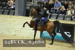 24BUCK_05080 thumbnail