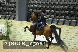 24BUCK_05081 thumbnail