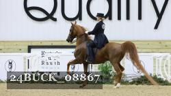 24BUCK_08867 thumbnail