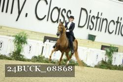 24BUCK_08868 thumbnail