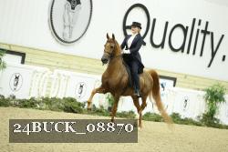 24BUCK_08870 thumbnail