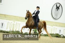 24BUCK_08871 thumbnail