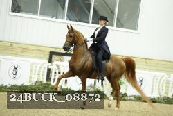 24BUCK_08872 thumbnail