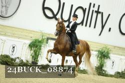 24BUCK_08874 thumbnail