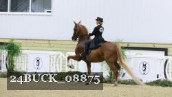 24BUCK_08875 thumbnail
