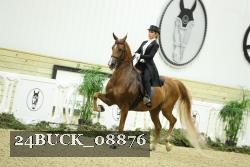 24BUCK_08876 thumbnail