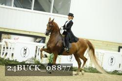 24BUCK_08877 thumbnail