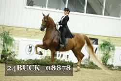 24BUCK_08878 thumbnail