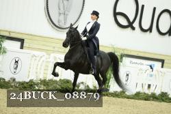 24BUCK_08879 thumbnail