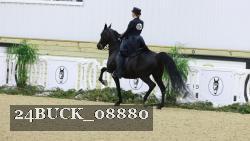 24BUCK_08880 thumbnail