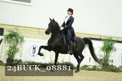 24BUCK_08881 thumbnail