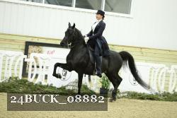 24BUCK_08882 thumbnail