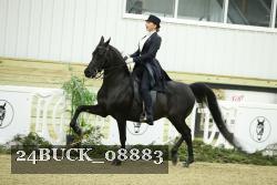 24BUCK_08883 thumbnail