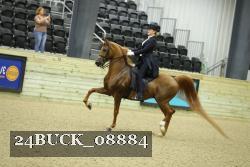 24BUCK_08884 thumbnail