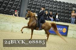 24BUCK_08885 thumbnail