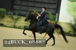 24BUCK_08887 thumbnail