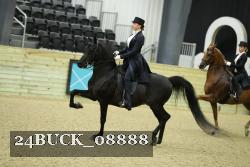 24BUCK_08888 thumbnail