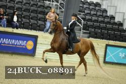 24BUCK_08891 thumbnail
