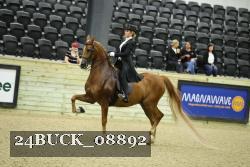 24BUCK_08892 thumbnail