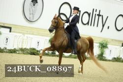 24BUCK_08897 thumbnail