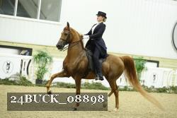 24BUCK_08898 thumbnail