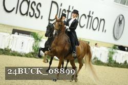 24BUCK_08899 thumbnail