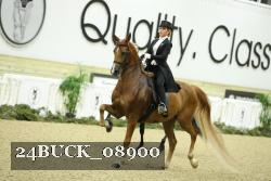 24BUCK_08900 thumbnail