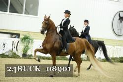 24BUCK_08901 thumbnail
