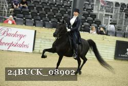 24BUCK_08902 thumbnail