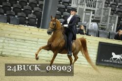 24BUCK_08903 thumbnail