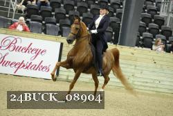 24BUCK_08904 thumbnail
